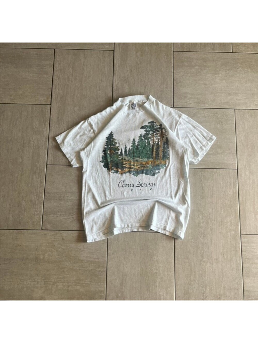 Vintage Eagle Cherry Springs Graphic T-Shirt Size Large Nature Scene